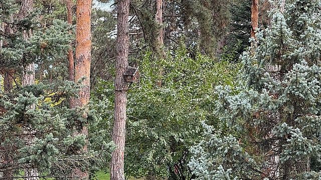 Фото: телеканал «Краснодар»