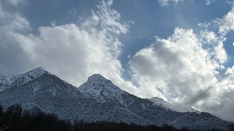 Разъярённая медведица напала на охотника в Канаде