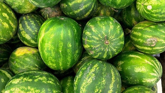 Фото: телеканал «Краснодар» 