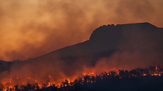 Фото: телеканал «Краснодар»