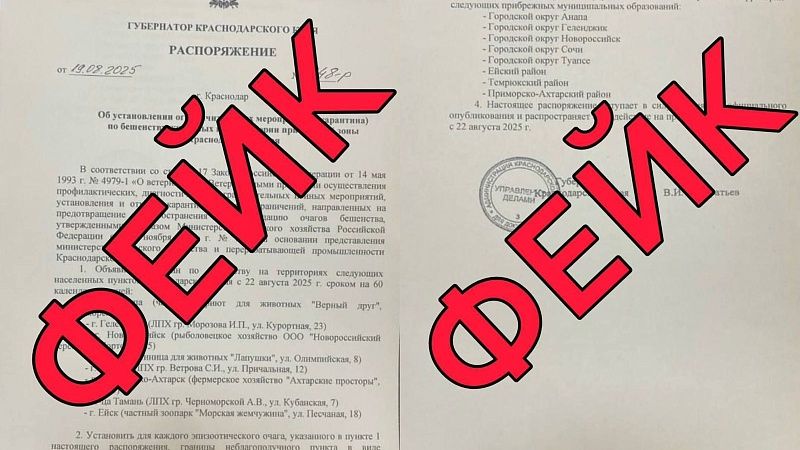 Оперштаб опроверг слухи о карантине по бешенству животных на Кубани