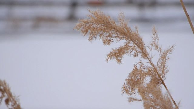 Фото: Алексей Попов