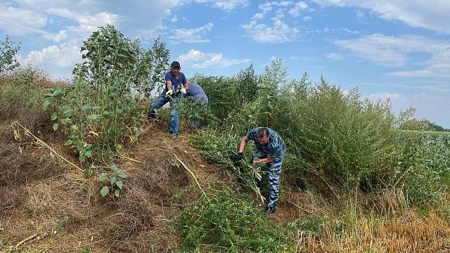 Фото: пресс-служба администрации Краснодарского края