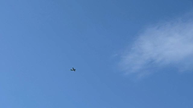 Фото: телеканал «Краснодар»