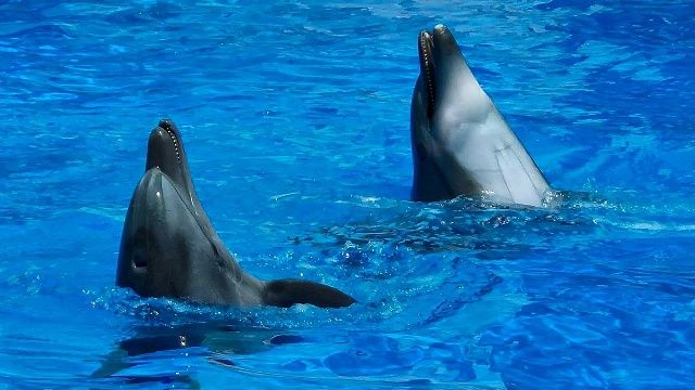 Фото: телеканал «Краснодар»