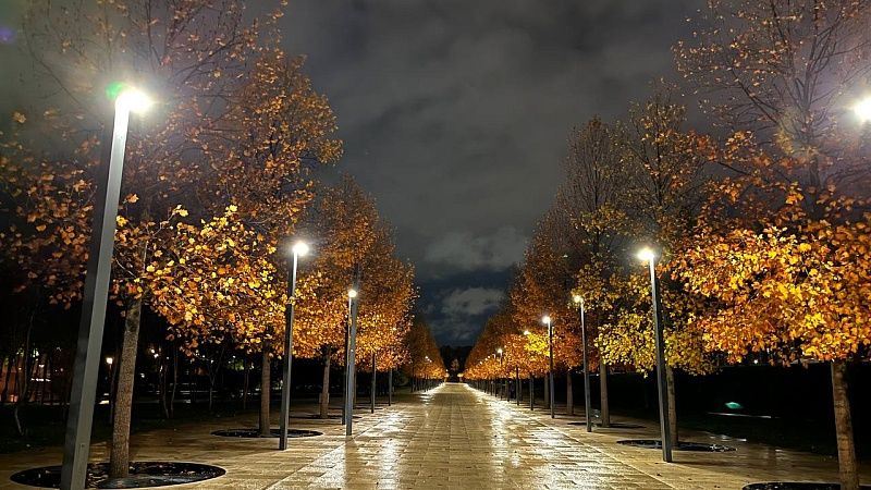 Воздух остынет до +29°С в последний вторник лета в Краснодаре