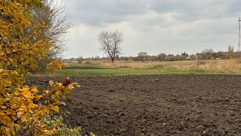 Юрист Соловьёв рассказал, за что будут изымать земельные участки с 2025 года