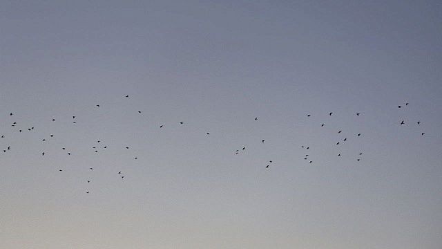 Фото: телеканал «Краснодар»