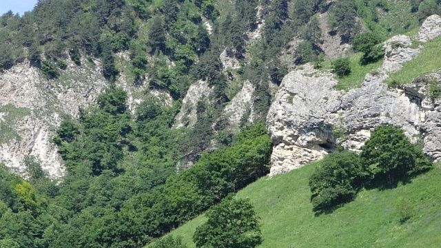 Бывшие супруги разбились, спрыгнув на параплане с горы в Бразилии