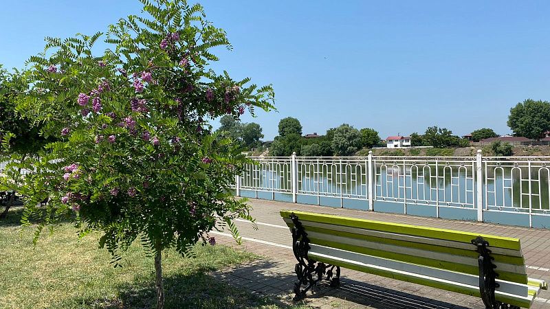 В Краснодаре в четверг будет жарко и ветрено