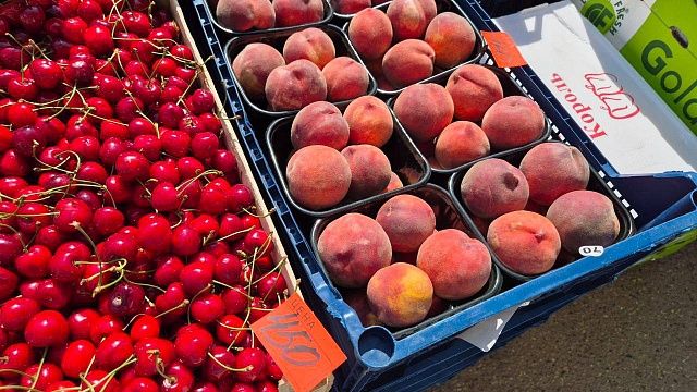 В регионы России отправили более 26 тонн черешни из Ейского района Кубани