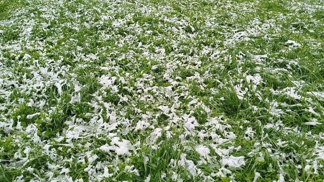 Фото: телеканал «Краснодар»