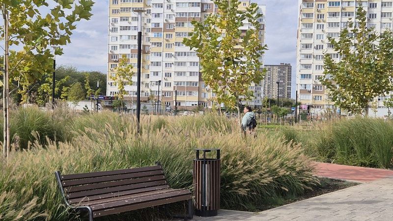 Дождь и усиление ветра ожидается 5 октября в Краснодаре