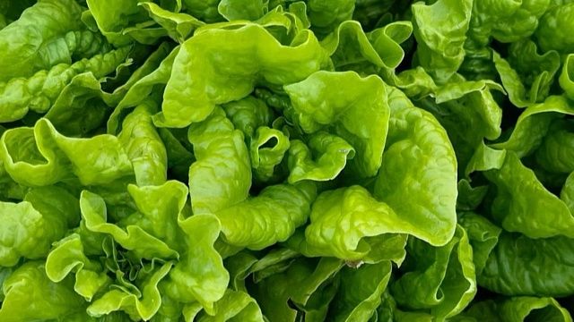 Фото: телеканал «Краснодар»