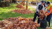 На улицах и в парках начали работы по очистке от опавшей листвы в Краснодаре