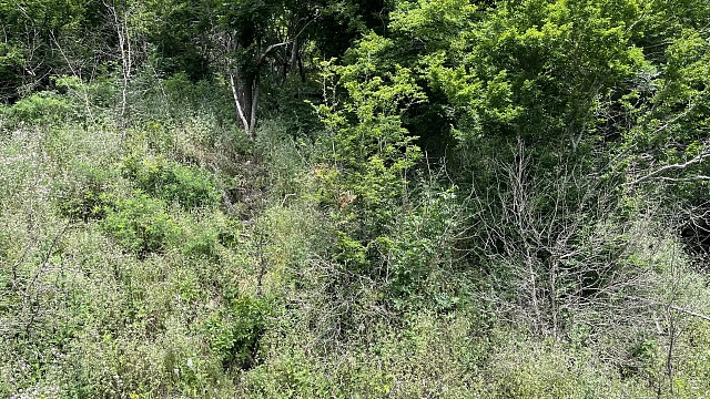 Фото: телеканал «Краснодар»