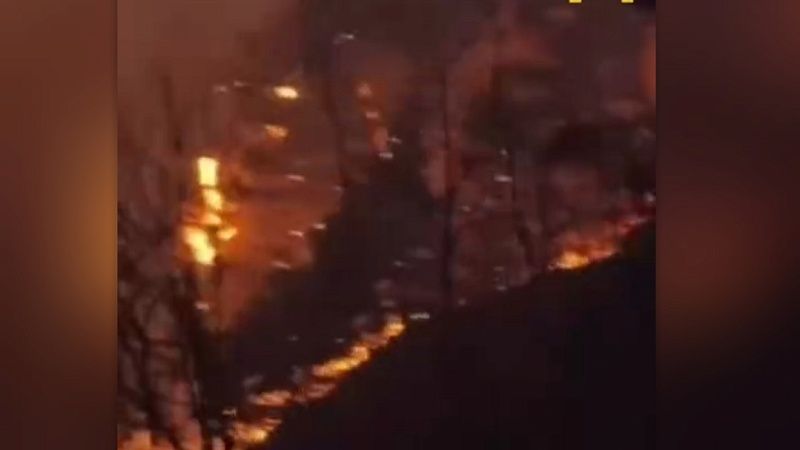 В АТОР призвали россиян воздержаться от поездок в горящий регион Южной Кореи