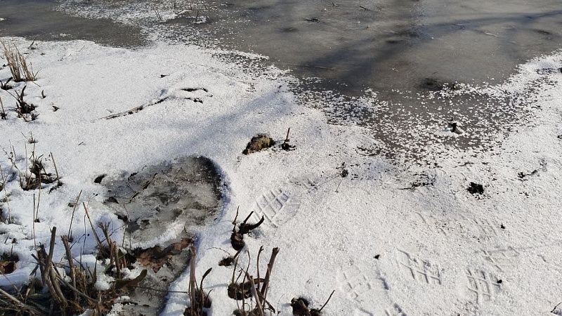 Последнее видео опубликовал провалившийся под лёд житель Свердловской области 