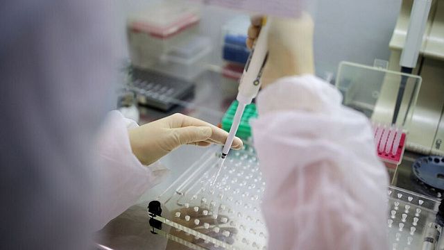 117 человек на Кубани получили положительные тесты на коронавирус