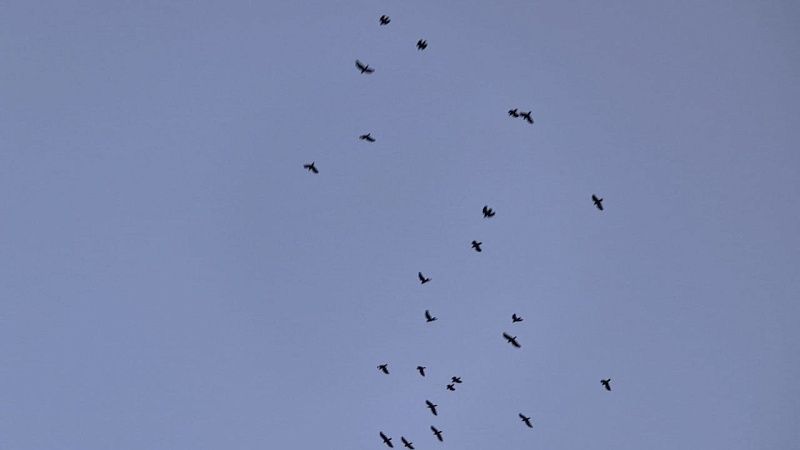 Очевидец снял момент ракетного удара ВСУ по инфраструктуре Белгорода