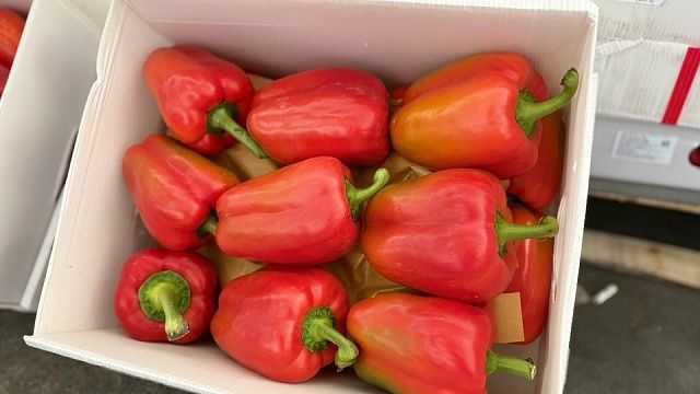 Россельхознадзор обнаружил около 17 тонн зараженного перца из Ирана в Краснодаре 