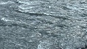 SHOT: пьяный Андрей Макаревич прыгнул с моста и чуть не утонул в Москве-реке