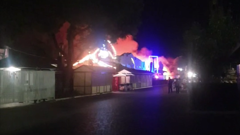 Появились подробности пожара в зоопарке «Крокодиловый каньон» в Ейске 