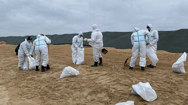 Год назад произошло крушение двух танкеров «Волгонефть» в Чёрном море