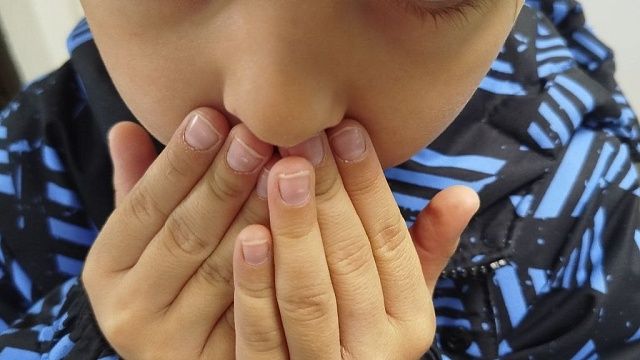 Фото: телеканал «Краснодар»