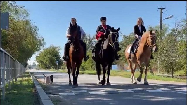 На коне приехал на избирательный участок атаман Чередняков в Лабинском районе