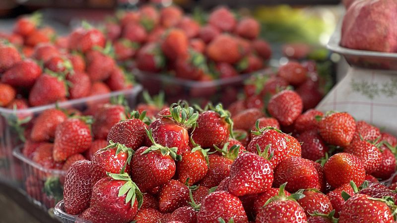 На Фестивале клубники в Краснодаре будут не только спелые ягоды