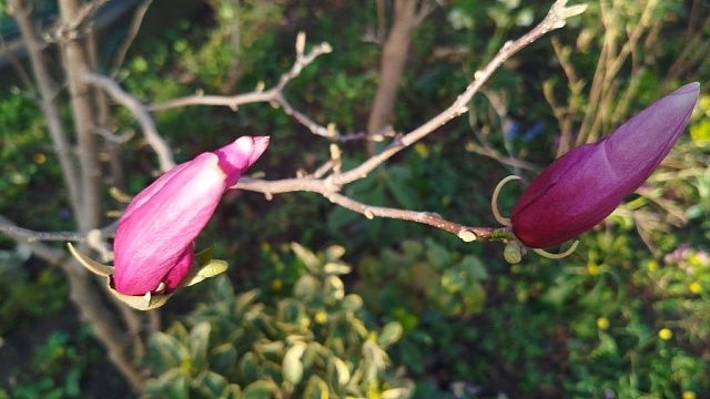 Фото: телеканал «Краснодар»