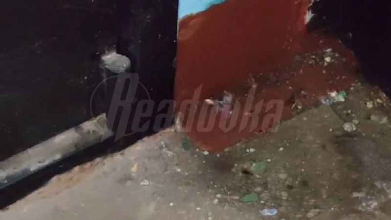 Проукраинская «королева тараканов» оставила трупы в подъезде дома в Москве