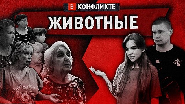 В конфликте - Животные