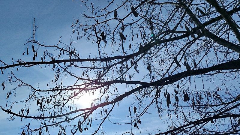 О беспилотной опасности предупредили жителей Тихорецкого района ночью 8 марта 