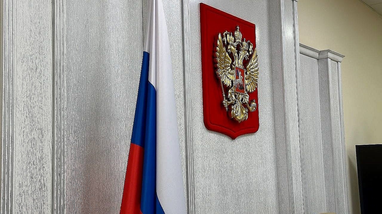Родители покусанного хаски мальчика готовятся к суду в Белореченске