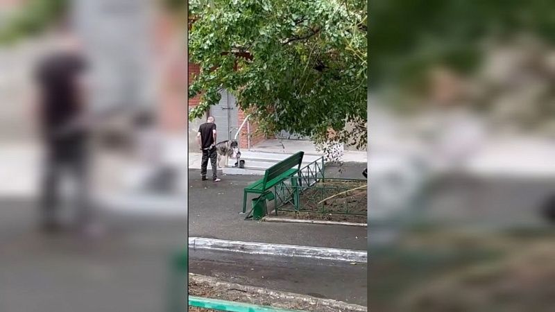 Мужчина снял штаны перед собакой в Новороссийске