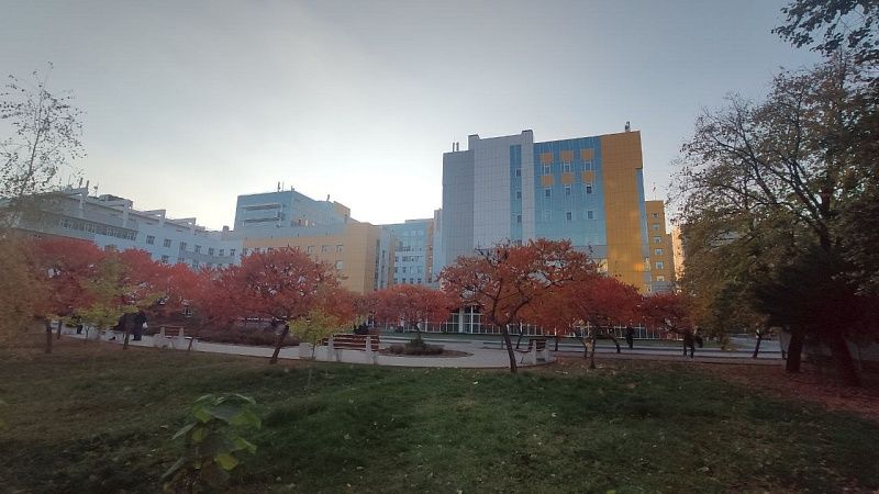 Пострадавшему от льва в «Тайгане» Зубкову проведут новую операцию в Краснодаре