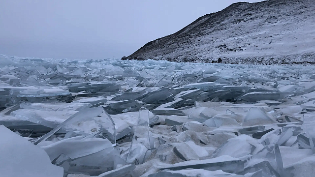 Фото: Вероника Новокрещеннова