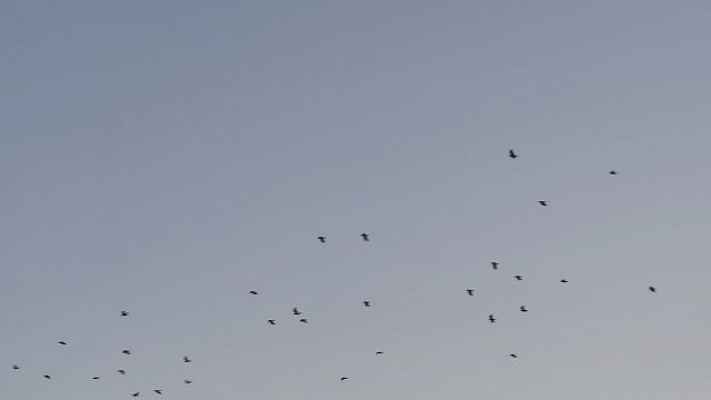 Фото: телеканал «Краснодар»