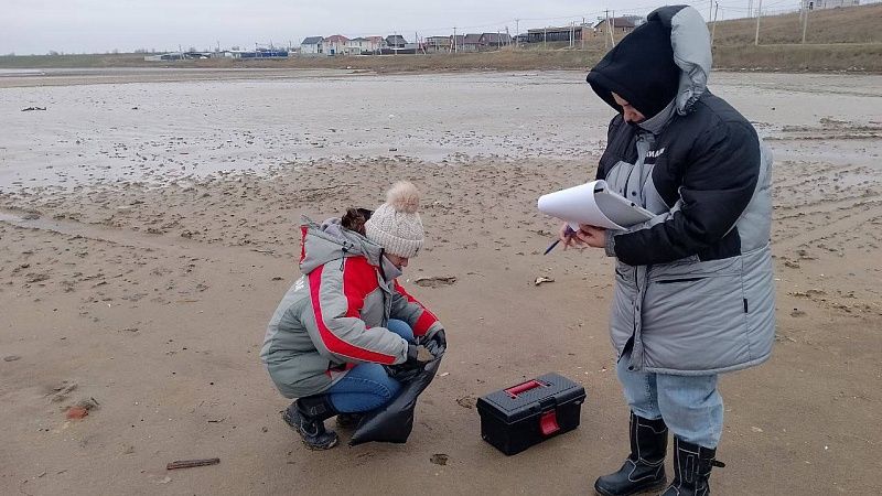 В минприроды Кубани подтвердили безопасность воды в озере Солёном