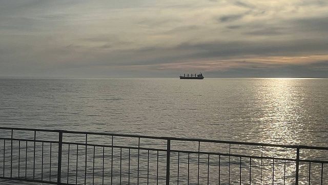 Попытку вывоза средств для химоружия пресекли в порту Темрюка