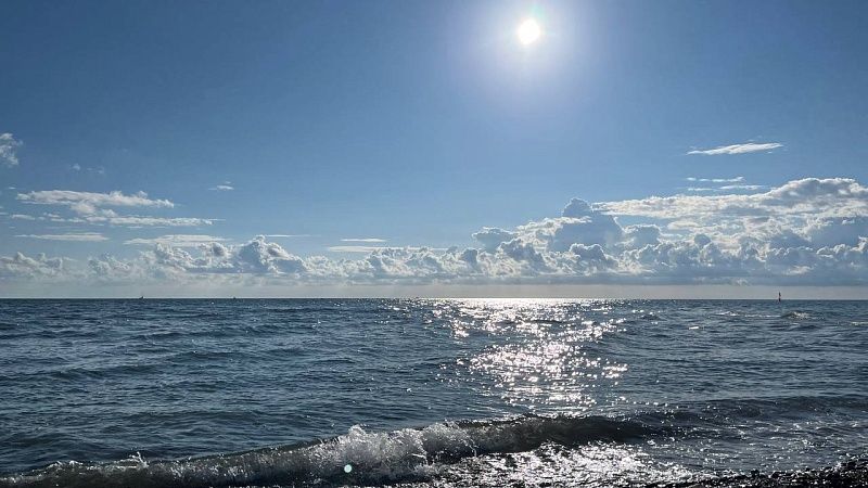 Появились кадры извлечения из воды тела пловца Свечникова