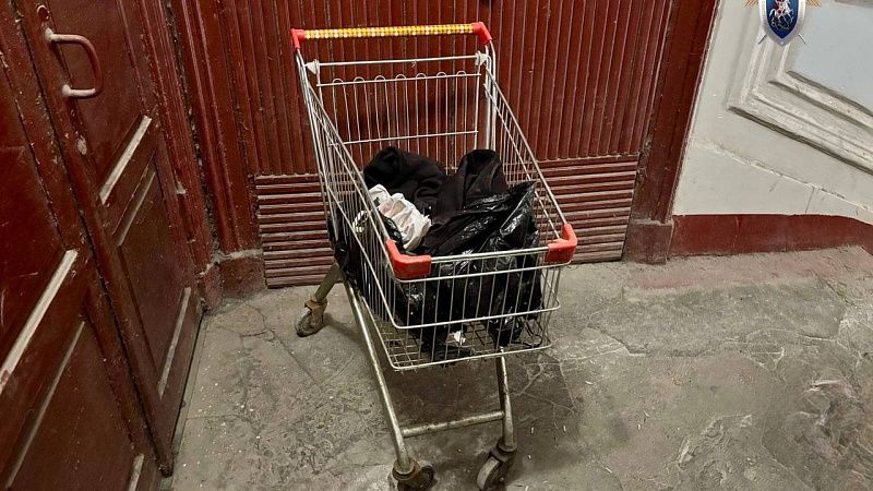 Убившего и расчленившего хозяйку квартиры мужчину признали невменяемым в Питере