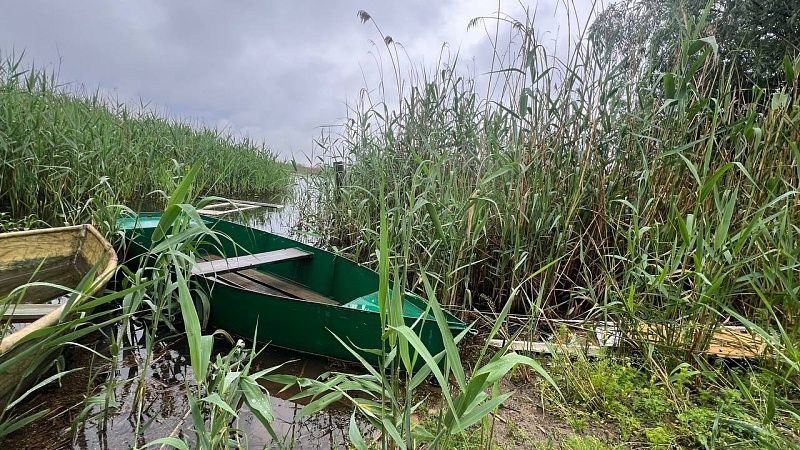 Озеро лотосов спасут от пересыхания в Белозерном под Краснодаром