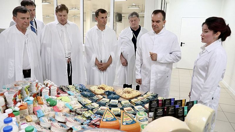 С начала года предприятия Кубани переработали больше 450 тысяч тонн молока