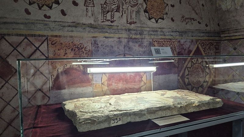 Школьник нашел зуб древнего мастодонта на побережье в Англии