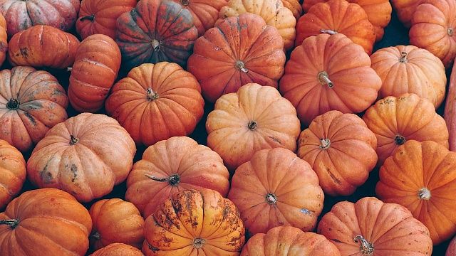 Осенью начинается сезон тыквы - очень полезного овоща. Фото: pixabay.com