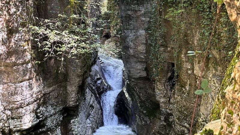 В летние маршруты включили 366 км экотроп в Сочи