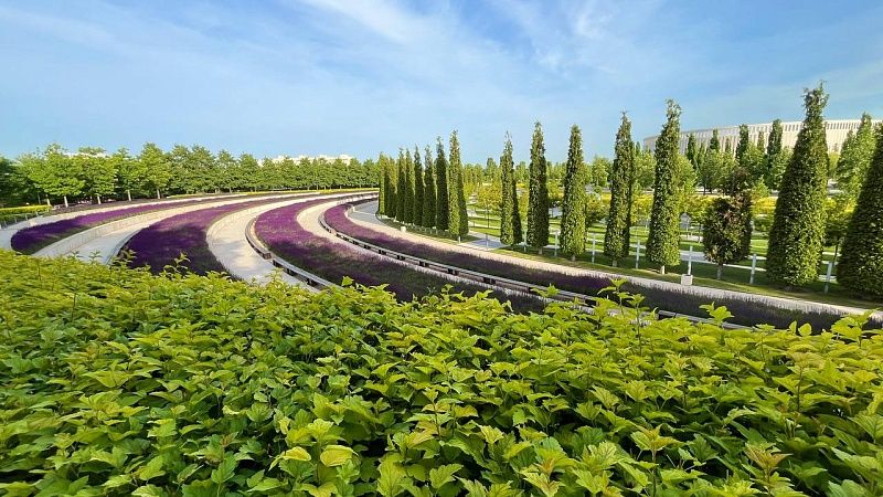 Кардиолог Саркисян рассказала, как пережить сорокоградусную жару на Кубани 